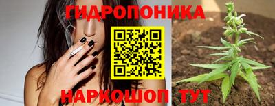 дживик Владимир