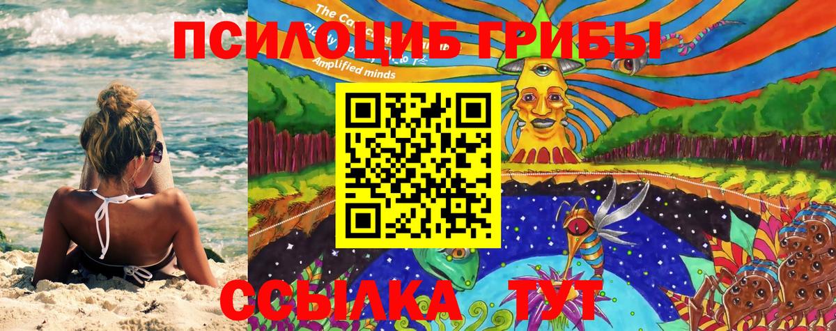 Галлюциногенные грибы мухоморы Киров