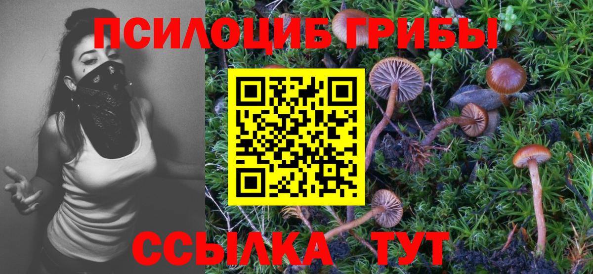 Галлюциногенные грибы Psilocybine cubensis  Вход с VPN  Киров 